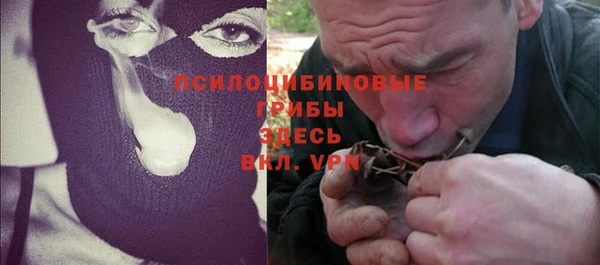 дживик Медвежьегорск
