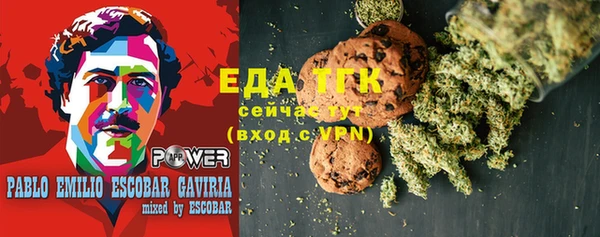 индика Алексин