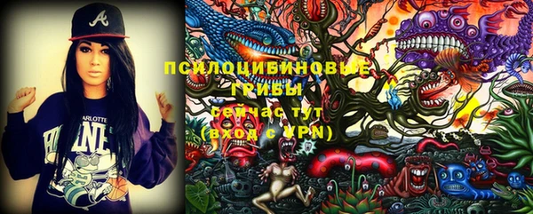 дживик Абаза