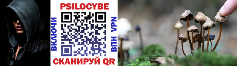 MEGA вход  Андреаполь  Галлюциногенные грибы Psilocybine cubensis 